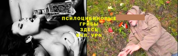 мет Аркадак