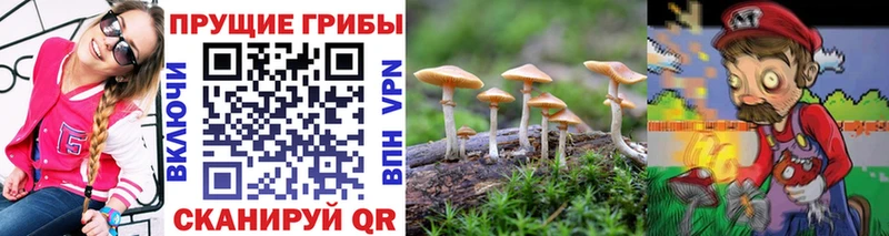 купить наркоту  Сургут  Псилоцибиновые грибы прущие грибы 