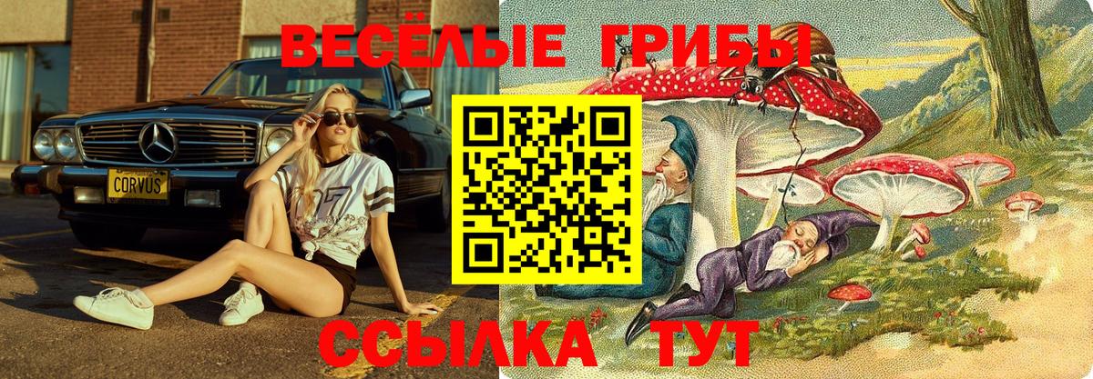 Галлюциногенные грибы GOLDEN TEACHER Сургут
