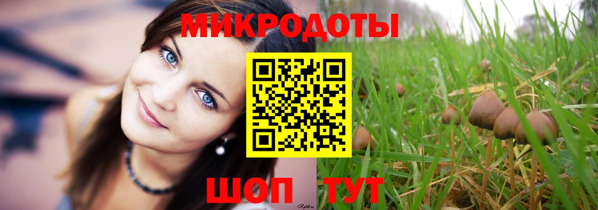 Сургут  Псилоцибиновые грибы GOLDEN TEACHER  Вход с VPN 